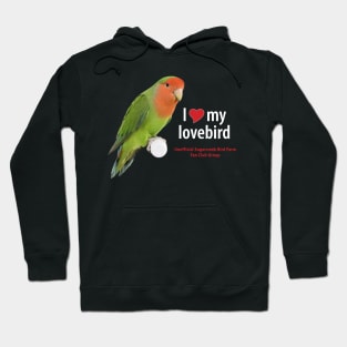 love lovebird (2) Hoodie